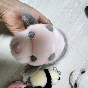 푸바오 20일 인형