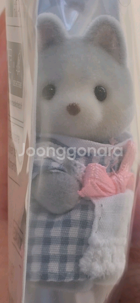 반택포 실바니안 엔제리너스 아기 허스키 셰프--1