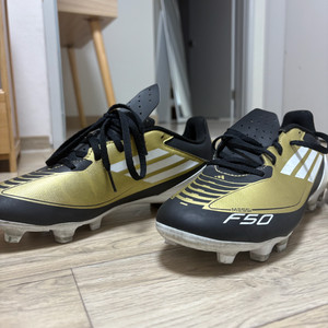 메시 F50 축구화 260