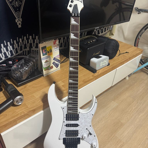 아이바네즈 rg350dxz 핍니다