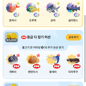 틱톡라이트 낚시 SSR / SR 판매