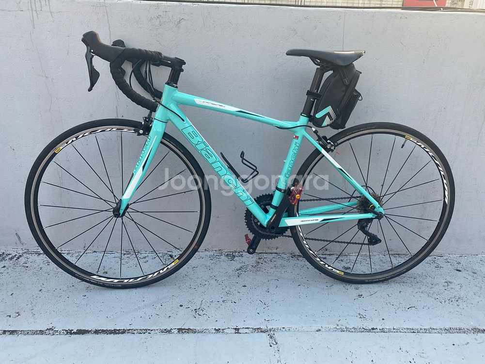 비앙키 니로네7 105--0