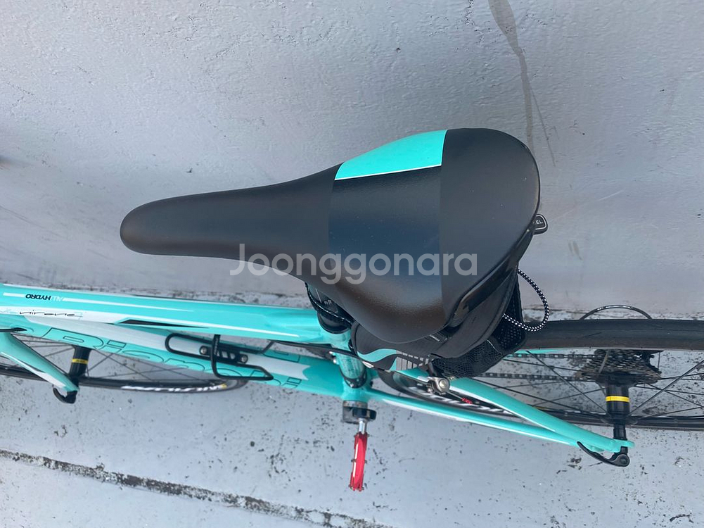 비앙키 니로네7 105--5