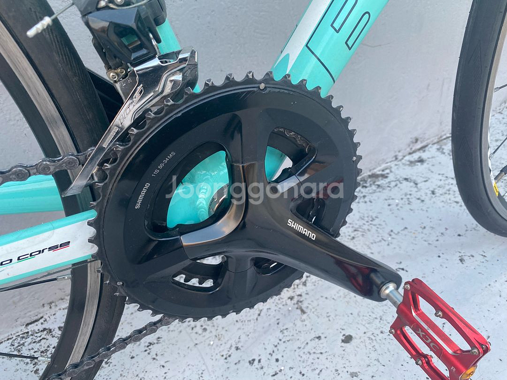 비앙키 니로네7 105--3