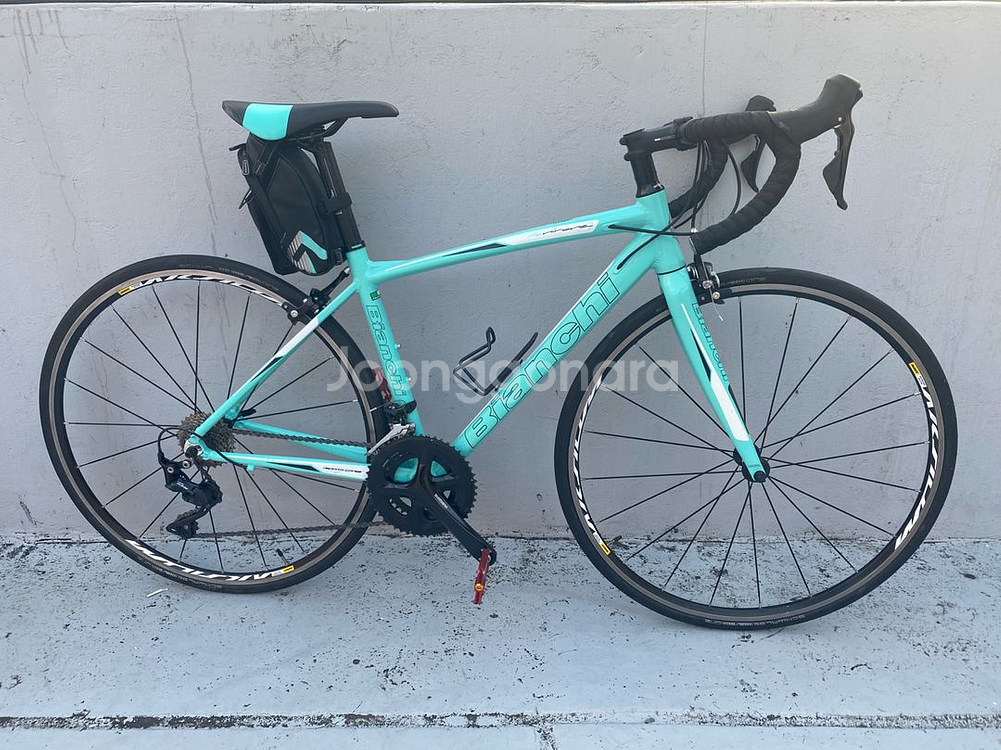 비앙키 니로네7 105--1