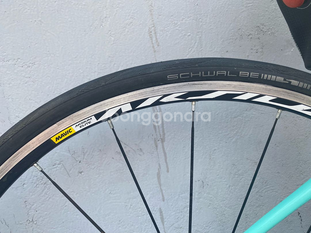 비앙키 니로네7 105--4