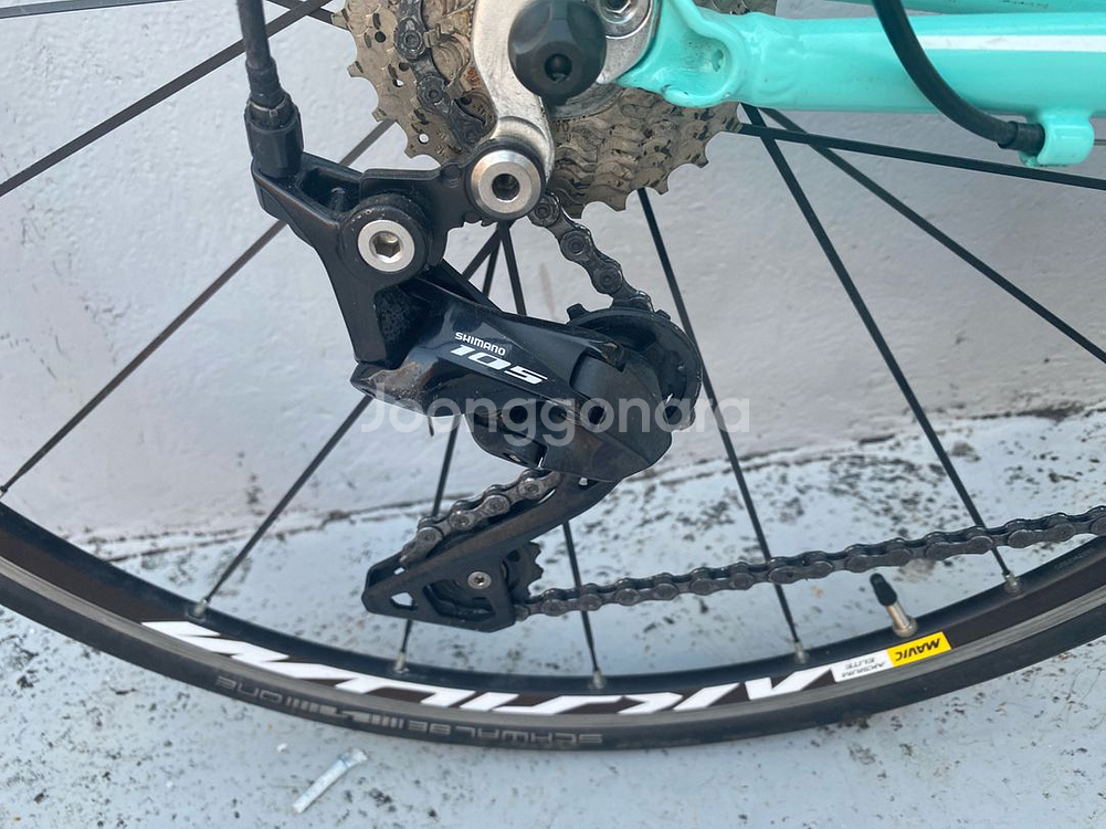 비앙키 니로네7 105--2