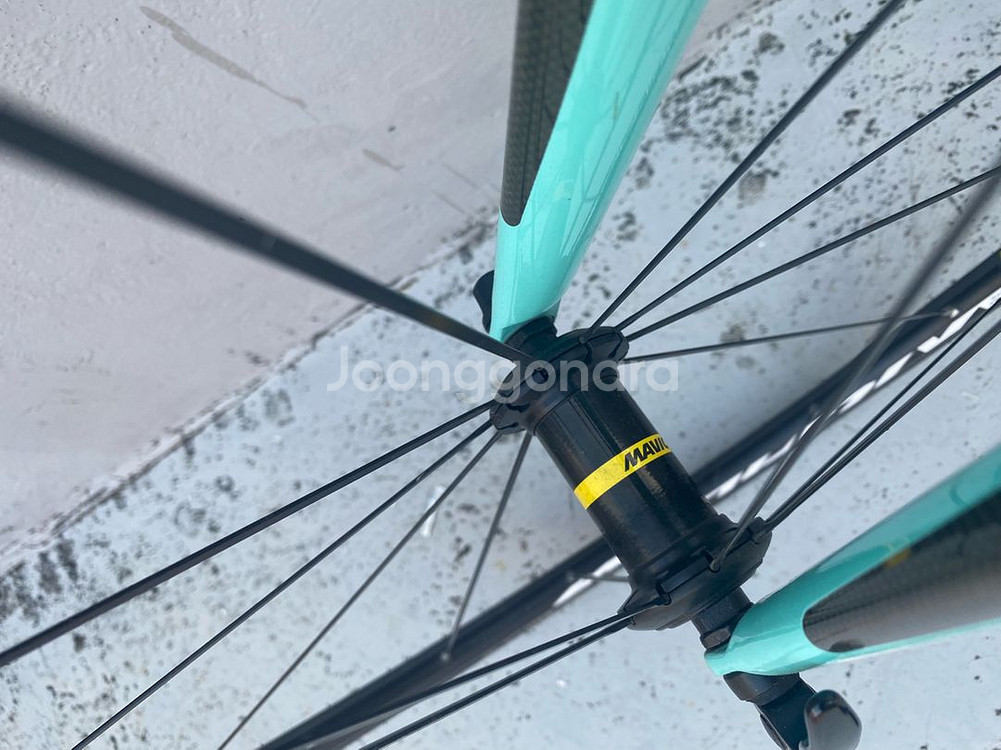 비앙키 니로네7 105--7