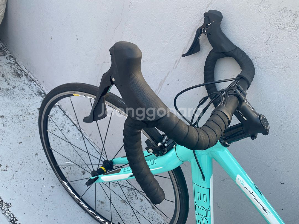 비앙키 니로네7 105--6