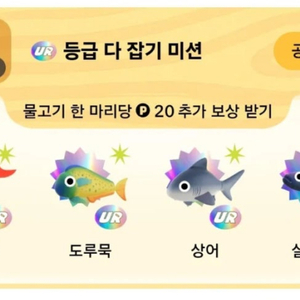 틱톡 라이트 실러캔스