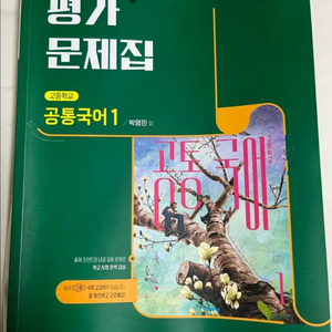 비상 공통국어1 평가문제집 고1