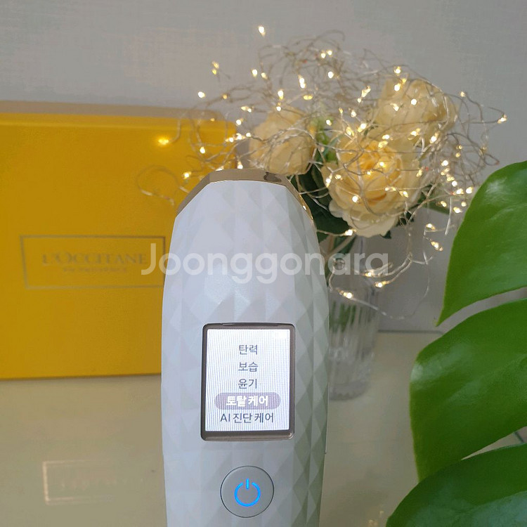 웰스 듀얼 초음파--7
