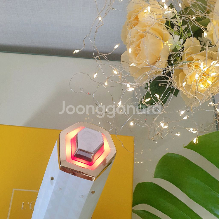 웰스 듀얼 초음파--3