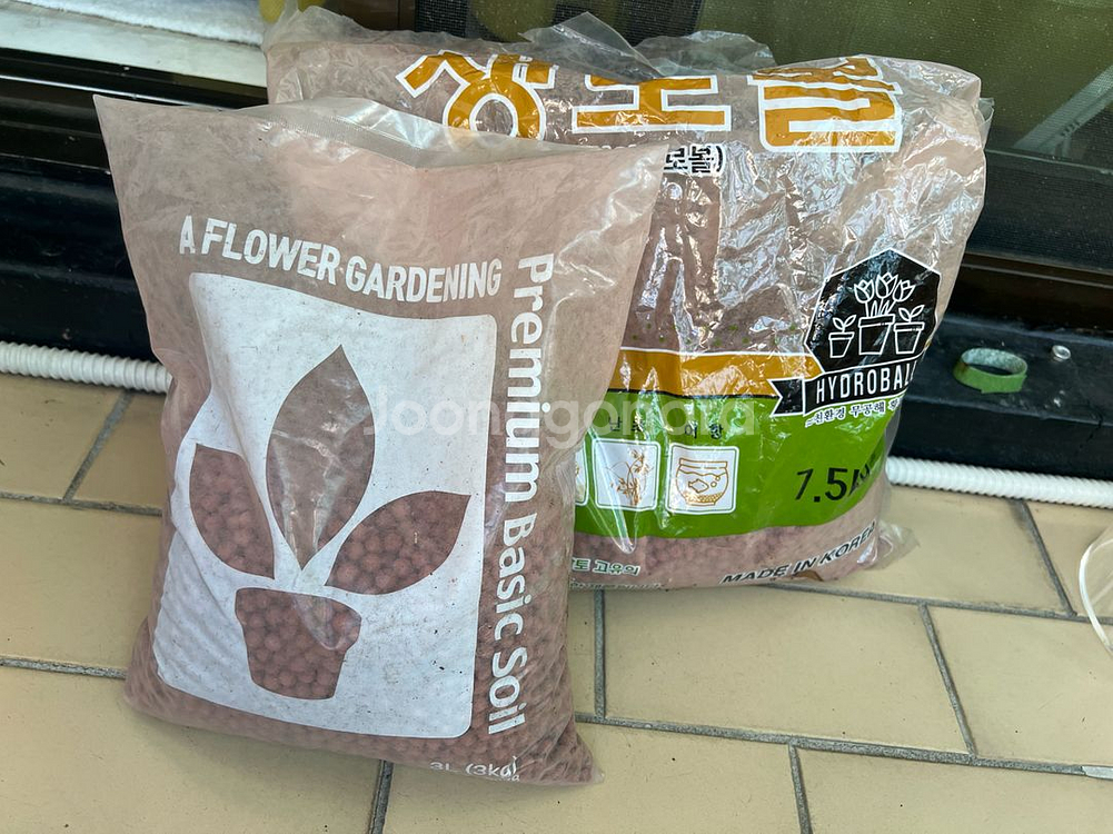 하이드로볼(식물)--0