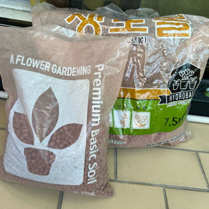 하이드로볼(식물)