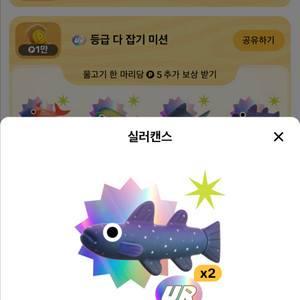 틱톡 문피시 구해요