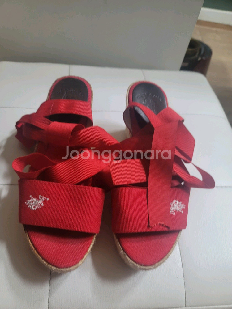 폴로 웨지힐--3