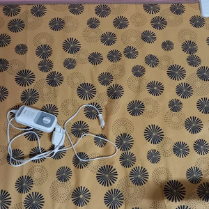 일월 싱글용 전기장판