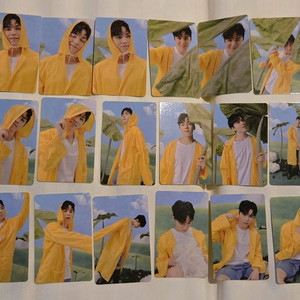 세븐틴 포카 버논