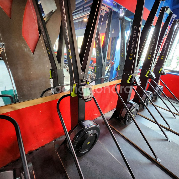 컨셉2 스키에르그--2