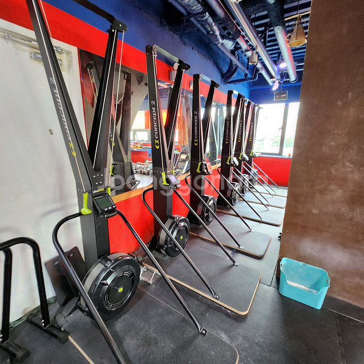 컨셉2 스키에르그--3