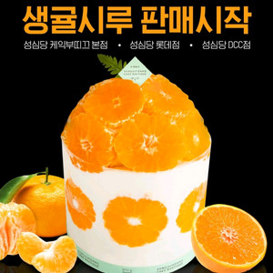 [365일 배송] 성심당 생귤시루 과일시루 망고롤 빵