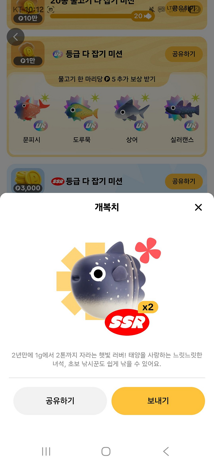 틱톡SSR 4종팔아요--0