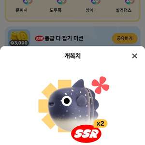 틱톡SSR 4종팔아요
