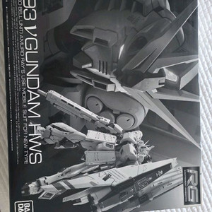 RG 뉴건담 HWS