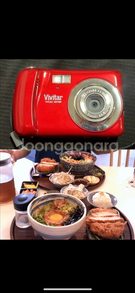 비비타 비비캠 X014N (레드)팔아요!--0