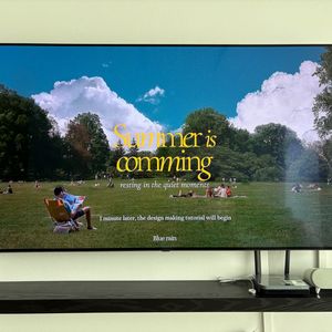 lg 올레드 65인치 티비