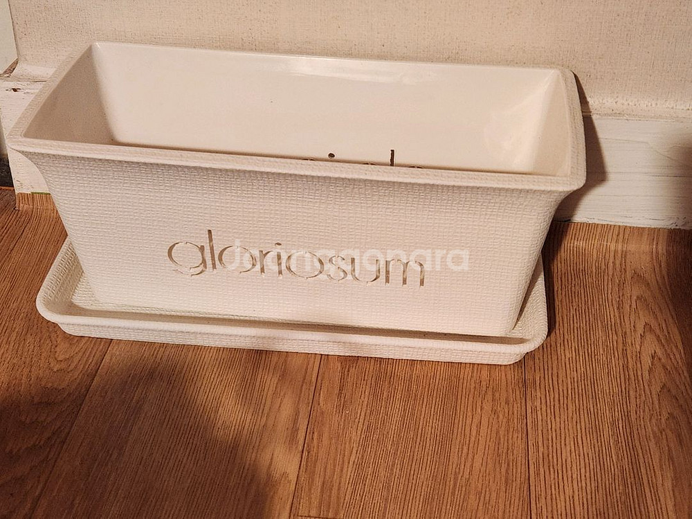 글로리오섬 네이밍 플분+받침대(식물 미포함)--7