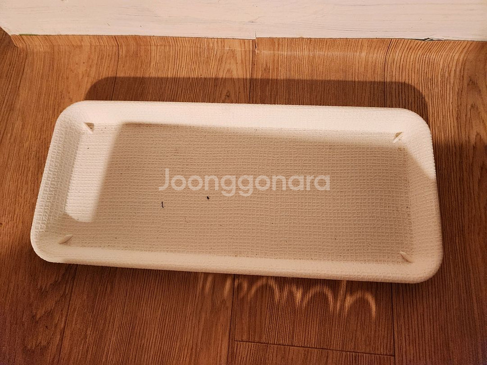 글로리오섬 네이밍 플분+받침대(식물 미포함)--4