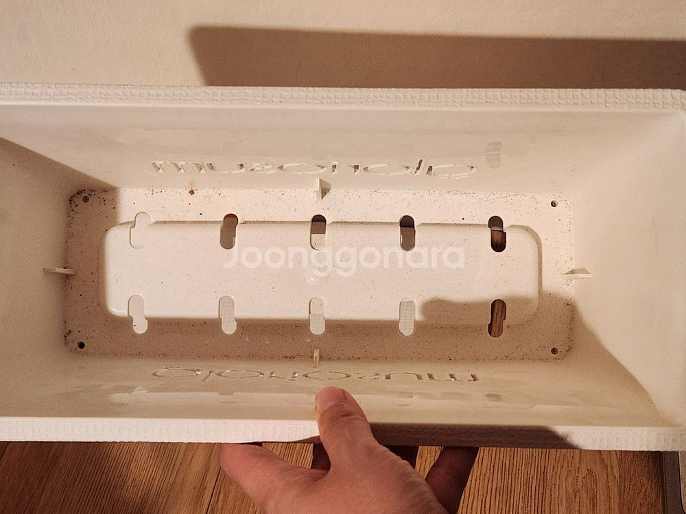 글로리오섬 네이밍 플분+받침대(식물 미포함)--5