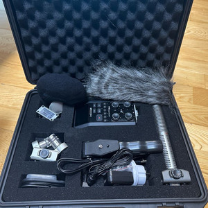zoom H6
