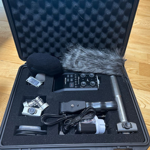 zoom H6