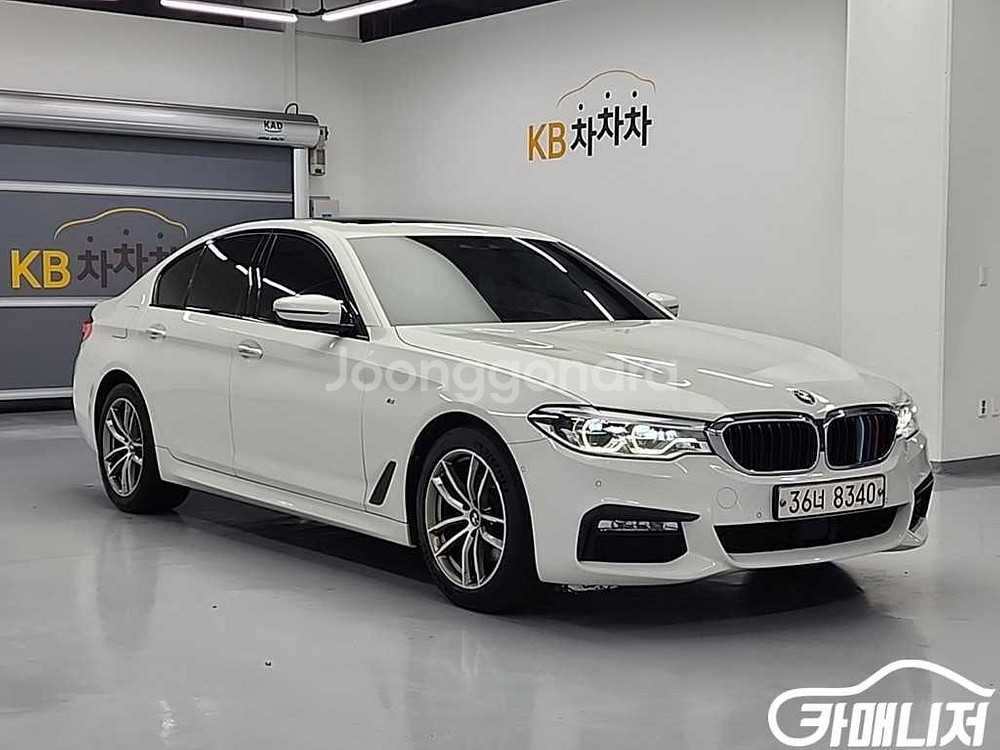 [BMW]5시리즈 (G30) 520d xDrive M--3