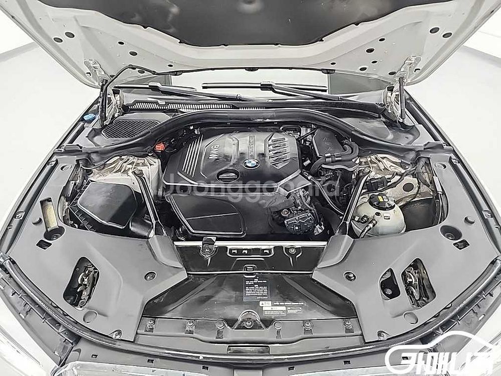[BMW]5시리즈 (G30) 520d xDrive M--4