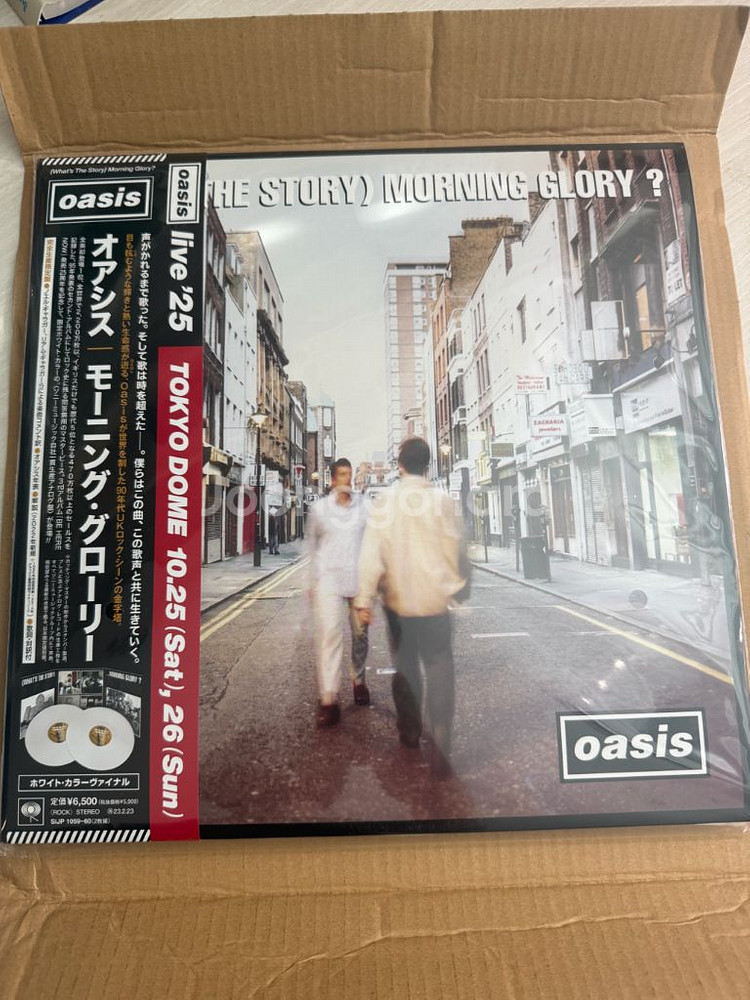 Oasis morning glory 한정판 lp 흰색--1