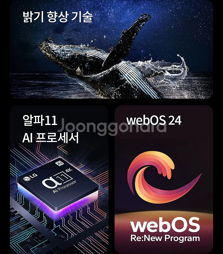 LG 65인치 OLED 최상위급 OLED65G4 !--4