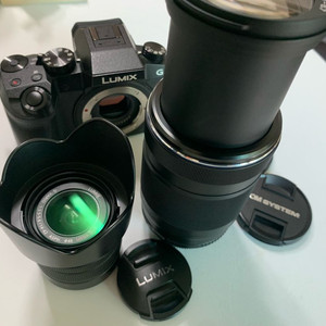파나소닉 75-300 (환산 600) 마이크로 포서드