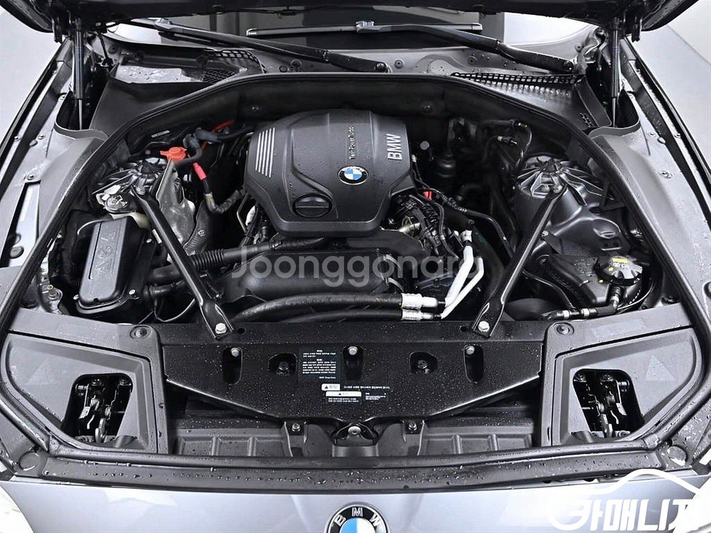 [BMW]5시리즈 (F10) 520d xDrive M--5