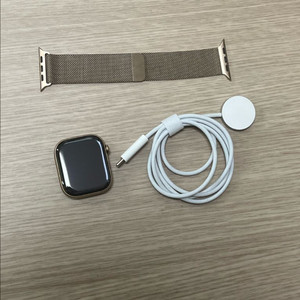 애플워치10 티타늄 46mm 골드 S급 밀레니즈루프