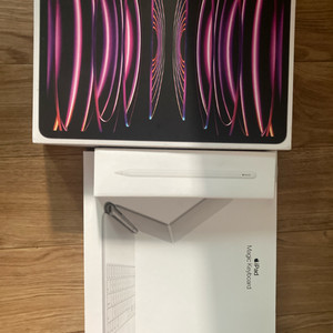 iPad Pro 12.9 6세대 와이파이 128