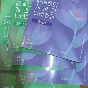 윤혜정 나비효과