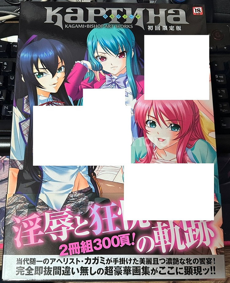 카가미 일러스트집 카르티나--1