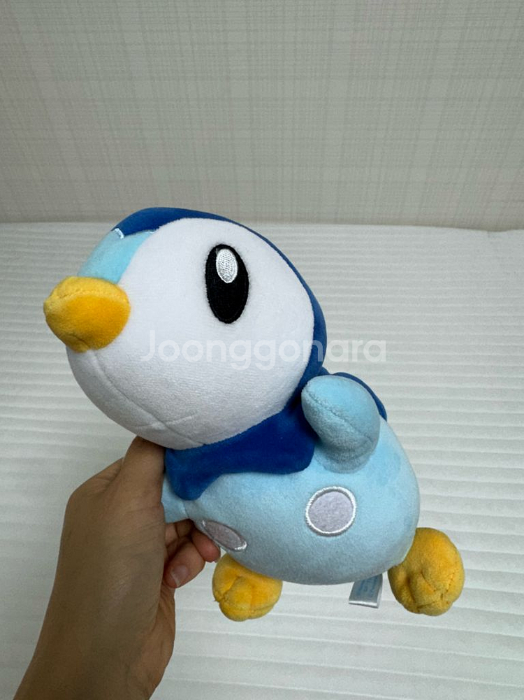 포켓몬센터 팽도리 인형--0