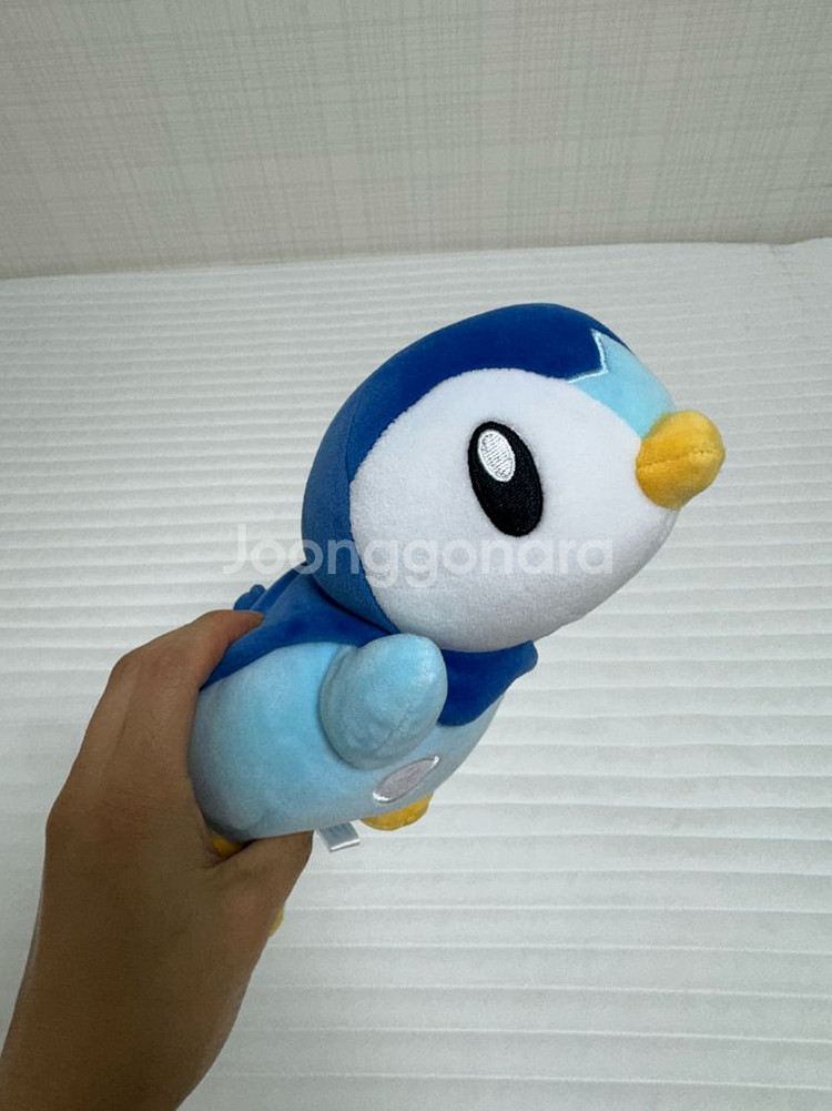 포켓몬센터 팽도리 인형--1