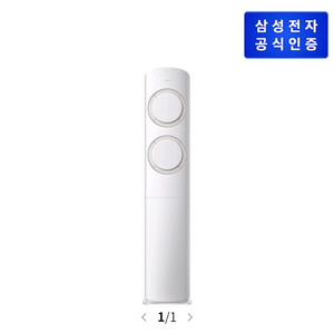 삼성 스탠드에어컨 AF60F17D11BT
