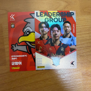2025 K리그 파니니 카드 경남 fc